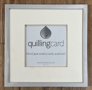 Large Brushed Silver Shadow Box Frame