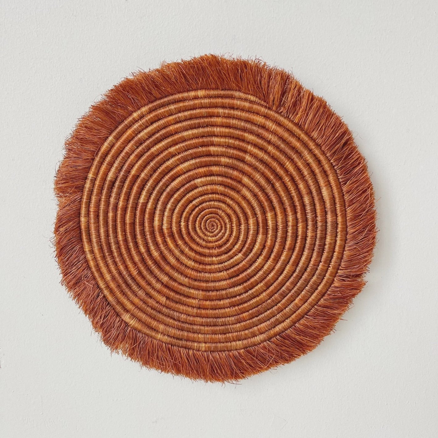 Orange Spice Fringe Trivet