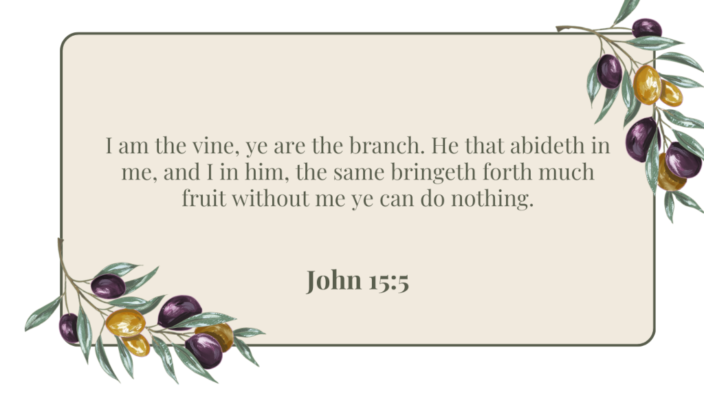 John 15:5 - I am the vine scripture quote