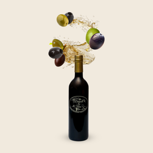 Chetoui 2024 Robust (Tunisia)