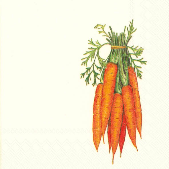 Paper Cocktail Napkins Carrots